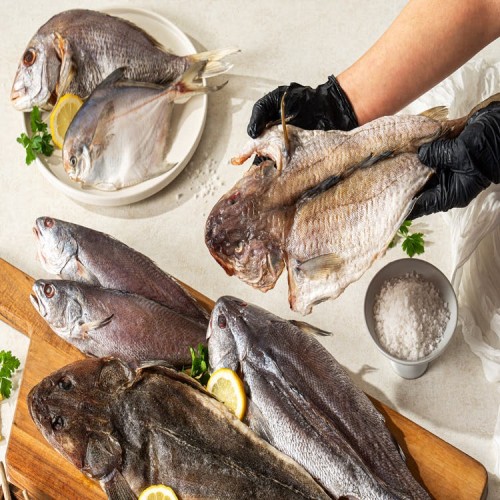 국내산 반건조 대구 담백시원한 말린 활복 대구 2미 33cm [원산지:국산]